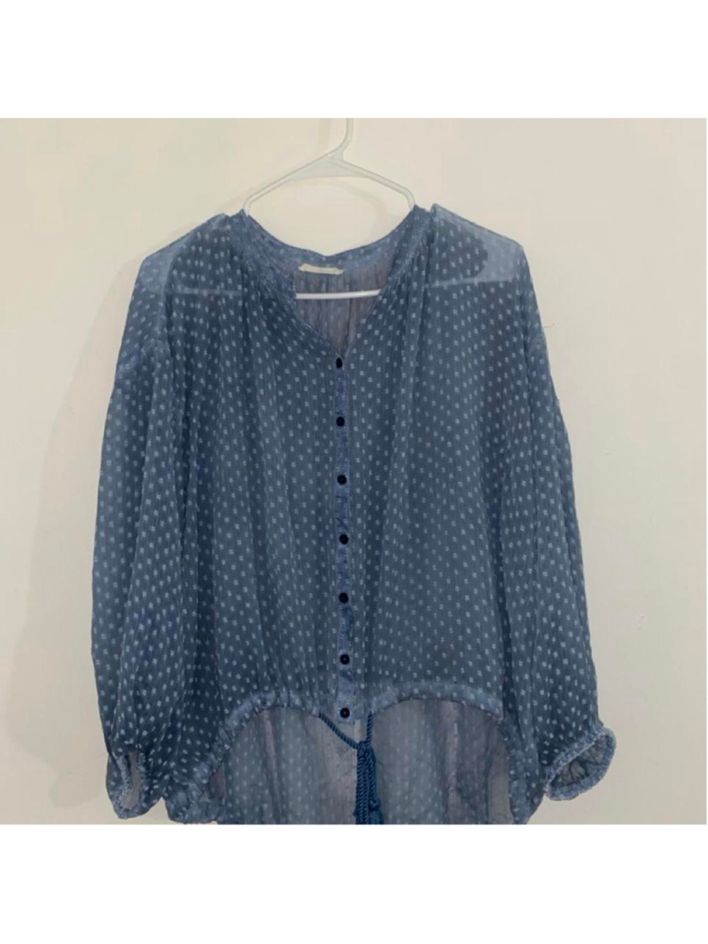 Sheer blue polka dot blouse